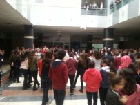 SINAV STRESİ - Düzce Kültür Koleji'nde Sıra Eğlencede