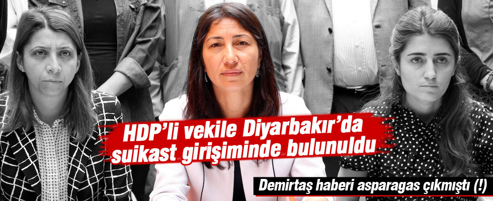 HDP'li Leyla Birlik: Aracıma suikast girişiminde bulundular