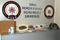 Samsun'da 5 Kilo 770 Gram Bonzai Ele Geçti