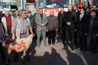 PENSILVANYA - Anadolu Selçuklu Derneği'nden Suriyeli Türkmenlere Yardım