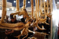 VATANA İHANET - Antalya'da Yozgat Tanıtım Günleri