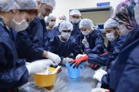 İSMAİL YILMAZ - Deney Hayvanları Kullanım Sertifikası Eğitim Kursu