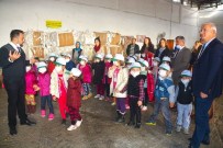 AYDıN MEMÜK - Minikler Çöp Ayrıştırma Tesisini Gezdi