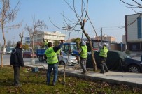 AHMET ARABACı - Park Ve Bahçeler Çalışmalarını Aralıksız Sürdürüyor