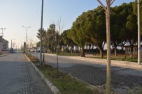KARAOĞLANLı - Şehzadeler 'Den Ağaçlandırma Seferberliği