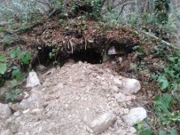 BAHÇECIK - Define Avcıları Suçüstü Yakalandı