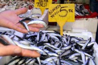 BALIK FİYATLARI - Samsun'da Balık Fiyatları Yarı Yarıya Düştü