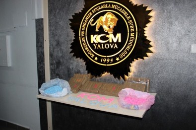 Yalova'da 2015 Yılının En Büyük Kokain Operasyonu