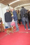 ET ÜRÜNLERİ - Gıda Fuarını Gezen Köpek Sucuk Reyonun Başından Ayrılmak İstemedi