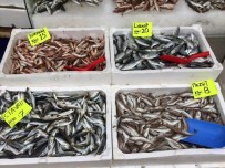 BALIK FİYATLARI - Tezgahlarda Balıklar Azaldı Fiyatlar Yükseldi