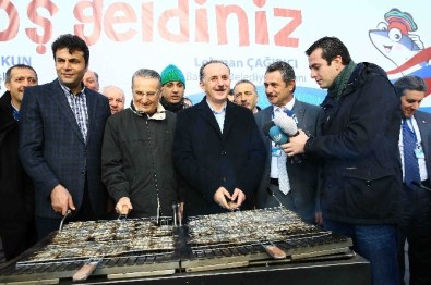 Bağcılar'da 3 Ton Hamsi Vatandaşlara İkram Edildi