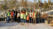 Gelincik Tepesi'ne 150 Ağaç Dikildi