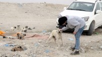 ODABAŞı - Hayvanseverlerden Sokak Köpeklerine Yardım