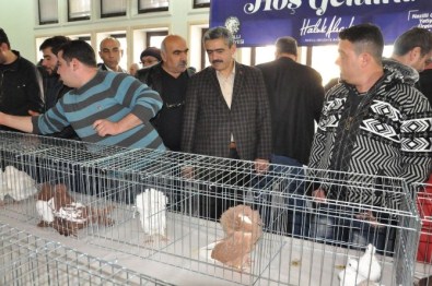 Nazilli'De 2. Güvercin Ve Kanarya Festivali Yapıldı