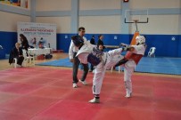 KENAN ŞAHIN - Taekwondada Dostluk Turnuvası