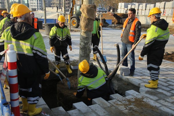 Taksim Meydanı'na yeni ağaçlar