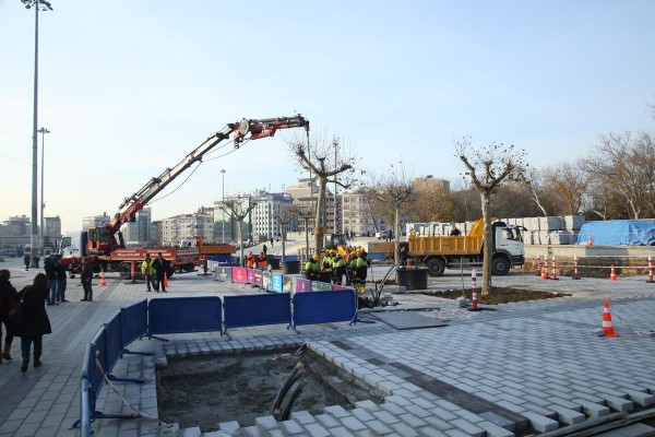 Taksim Meydanı'na yeni ağaçlar
