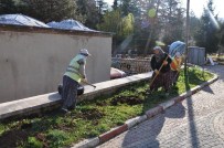 PELITÖZÜ - Bilecik, Kış Mevsiminde De Birbirinden Güzel Çiçeklerle Süsleniyor