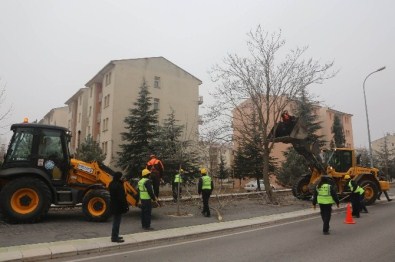 Ana Caddelerdeki Ağaçlar Budanıyor