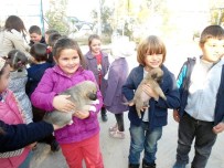 Miniklerden Hayvan Barınağına Anlamlı Ziyaret