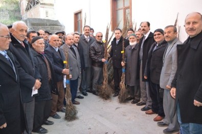 Niksar'da 4 Bin 530 Adet Ceviz Fidanı Dağıtıldı