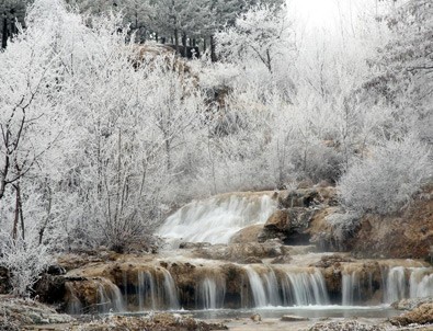 Sivas'ta soğuk hava