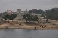 İSMAIL ÜNAL - Uşak'ın Akciğerlerine Belediye Eli Değdi