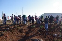 EMRULLAH CIN - Viranşehir'de Ağaç Dikme Kampanyası Başlatıldı