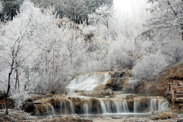Sivas'ta soğuk hava