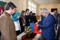 BARTIN VALİSİ - 3. Kariyer Ve İstihdam Günleri Başladı