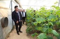 İSMAIL ALTıNDAĞ - Başkan Kocadon, Yerel Üreticinin Yanında