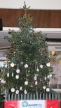 KOŞU AYAKKABISI - 'Dilek Ağacı', Çocukları Yeni Yıl Öncesi Mutlu Edecek