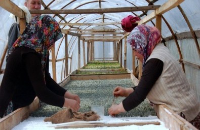 Eğirdir Fidanlığı Yeni Sezona Hazır