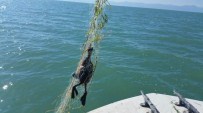 KUŞ CENNETİ - Göle Serilen Hayalet Ağlar Su Kuşlarını Da Avlıyor