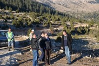 KOVANLıK - Mersin'in Bal Ormanları Artıyor