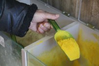 ZERDEÇAL - Soğuk Algınlığına 5 Bitkiden Oluşan Karışım