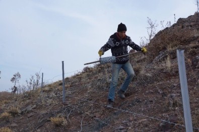 Şotik Havzası'na Telli Koruma