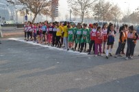 ALTıNOLUK - 260 Öğrenci Atatürk Koşusunda Yarıştı