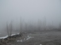 Varto'da Yoğun Sis