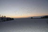 KÜÇÜK ESNAF - Ardahan'da 'Buz'dan Kareler