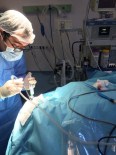 BAKIM MERKEZİ - Siverek Devlet Hastanesi Cerrahlarından Bir İlk