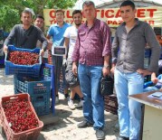 KİRAZ ÜRETİMİ - Organik Kiraz Üreticinin Yüzünü Güldürdü
