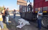 (Özel) Doğal Gazlı Evde Yaşayıp Kömür Yardımı Talebinde Bulundular