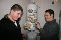 ENGELLİ ÖĞRENCİ - Tarımla Engelleri Aşıyorlar