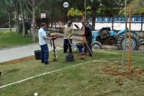 Park İncirliova Fidan Dikimleri Başladı