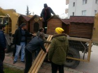 SOKAK KÖPEKLERİ - Sokak Hayvanlarına Modern Kulübeler