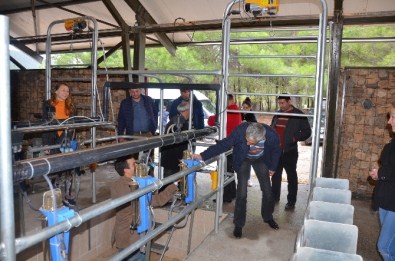 Türkiye'nin Hayvancılık Alanındaki Tecrübesi Moldova'ya Taşınıyor