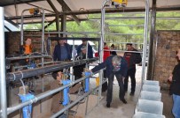 KOOPERATİFÇİLİK - Türkiye'nin Hayvancılık Alanındaki Tecrübesi Moldova'ya Taşınıyor