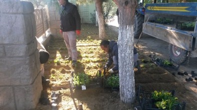 Borlu Parkı'na Büyükşehir Eli Değdi