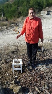 Torunları İçin Fidan Diktiler